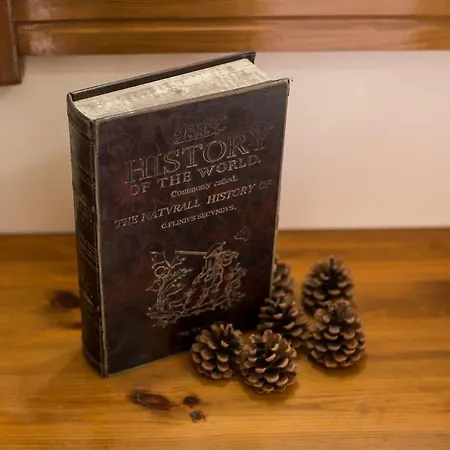 Apartment Bridge Limenaria (Thasos)